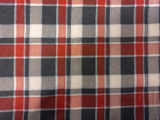 Fabric flannel,PlussAudums shop, Riga